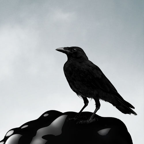 Black raven deign avec photoshop