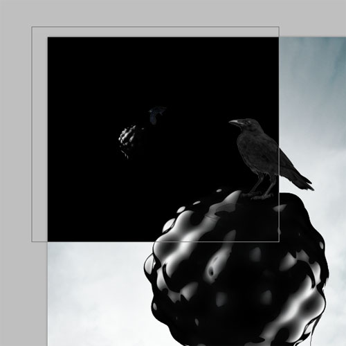 Black raven deign avec photoshop