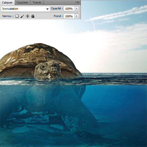 Montage photo La tortue géante avec Photoshop