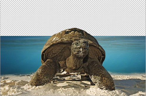 Montage photo La tortue géante avec Photoshop