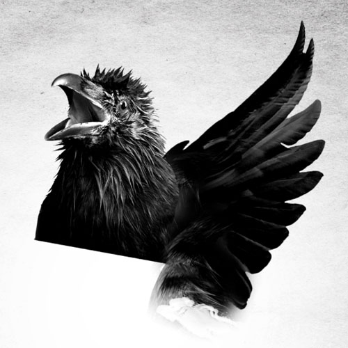 Raven design v2 avec photoshop