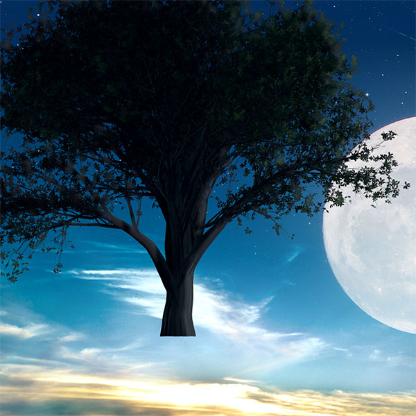 Créer une scène de pleine lune romantique sous Photoshop CC 2017