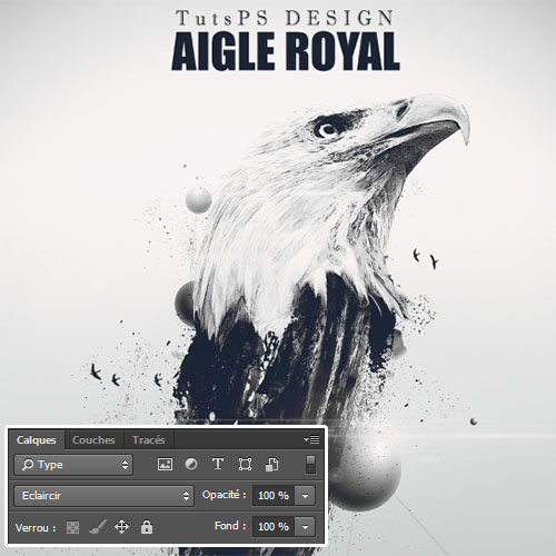 L’aigle Royal Américain avec Adobe Photoshop