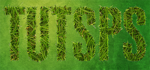 Créer un effet d’herbe spectaculaire sur texte 