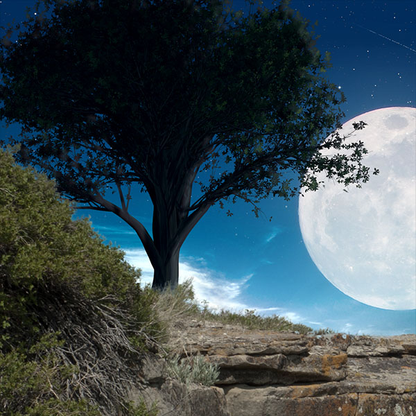 Créer une scène de pleine lune romantique sous Photoshop CC 2017