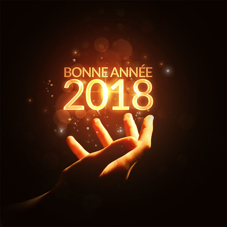 Season's greetings Photo-montage-bonne-annee-2018-23