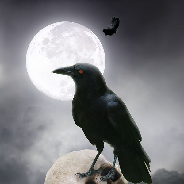 Photomanipulation le corbeau de la mort