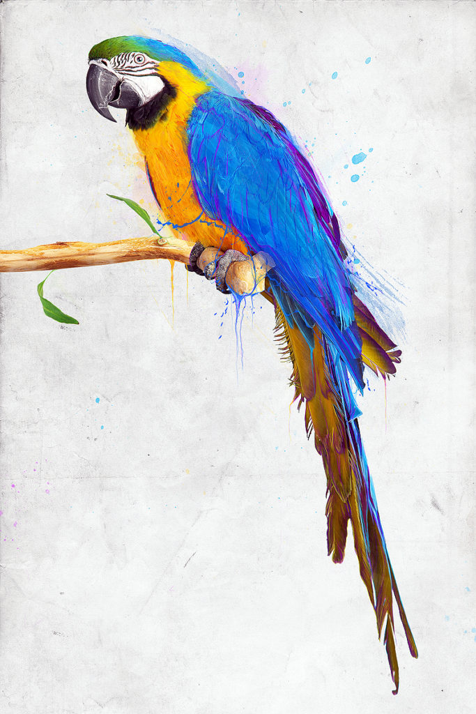 Parrot Design with Dispersion Effects in Photoshop